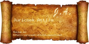 Juricsek Attila névjegykártya